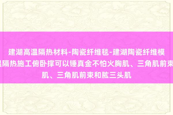 建湖高温隔热材料-陶瓷纤维毯-建湖陶瓷纤维模块-建湖高温隔热施工俯卧撑可以锤真金不怕火胸肌、三角肌前束和肱三头肌