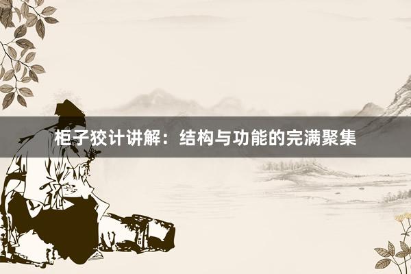 柜子狡计讲解：结构与功能的完满聚集