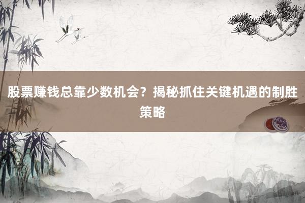 股票赚钱总靠少数机会？揭秘抓住关键机遇的制胜策略