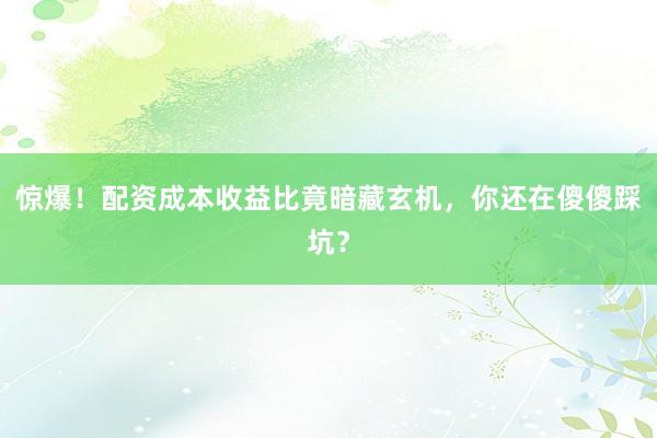 惊爆！配资成本收益比竟暗藏玄机，你还在傻傻踩坑？