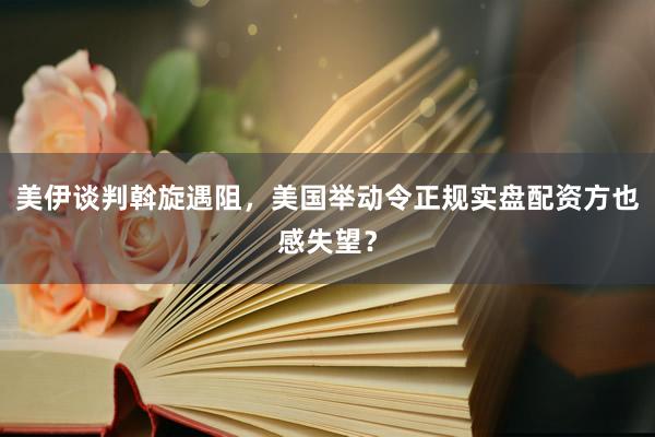 美伊谈判斡旋遇阻，美国举动令正规实盘配资方也感失望？