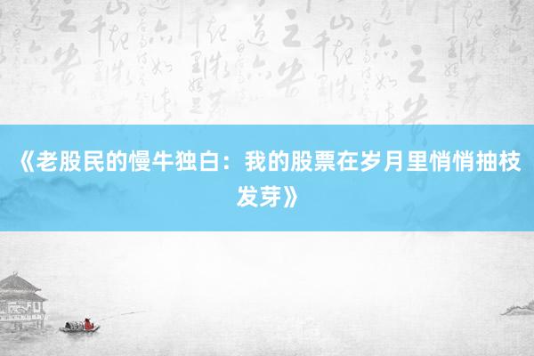 《老股民的慢牛独白：我的股票在岁月里悄悄抽枝发芽》