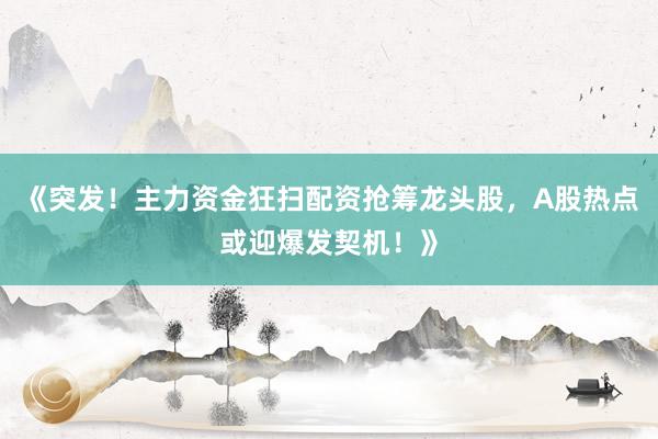 《突发！主力资金狂扫配资抢筹龙头股，A股热点或迎爆发契机！》