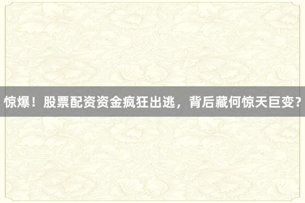 惊爆！股票配资资金疯狂出逃，背后藏何惊天巨变？