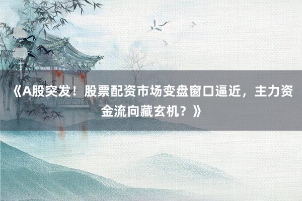 《A股突发！股票配资市场变盘窗口逼近，主力资金流向藏玄机？》