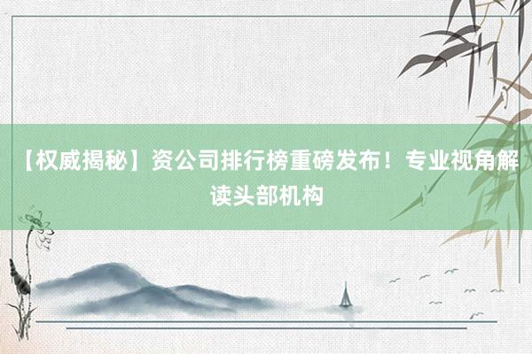 【权威揭秘】资公司排行榜重磅发布！专业视角解读头部机构